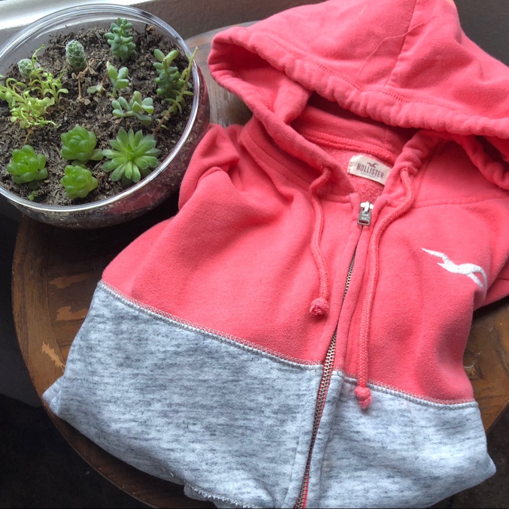 Hollister sweater